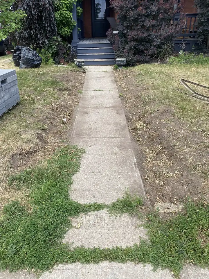 Before: cracked concrete slab walkway through patchy grass